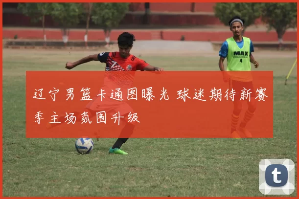 辽宁男篮卡通图曝光 球迷期待新赛季主场氛围升级