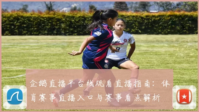 企鹅直播平台线观看直播指南：体育赛事直播入口与赛事看点解析